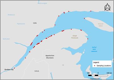 Occurrence of 80 per and polyfluorinated alkyl substances (PFAS) in muscle and liver tissues of marine mammals of the St. Lawrence Estuary and Gulf, Quebec, Canada